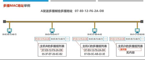 计算机网络技术开发中的关键基石 MAC地址深度解析学习笔记
