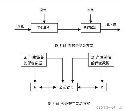 计算机网络安全 技术开发与应用期末综述